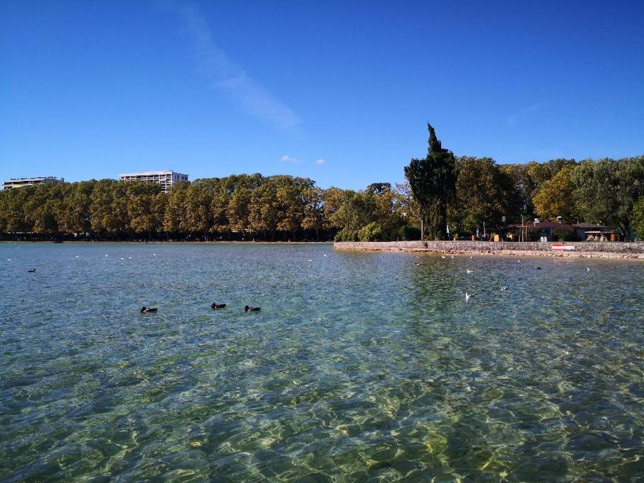 Studio Moderne, Place Parking Prive, Emplacement Ideal A 100 M Du Lac. Annecy Eksteriør billede