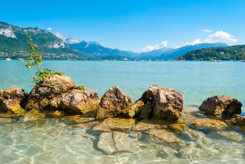 Studio Moderne, Place Parking Prive, Emplacement Ideal A 100 M Du Lac. Annecy Eksteriør billede